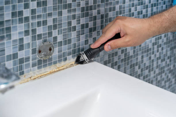 Best Office Mold Removal Services  in Ellettsville, IN